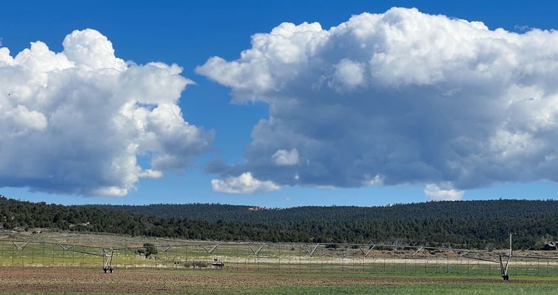 View from Highway with neighboring pivot