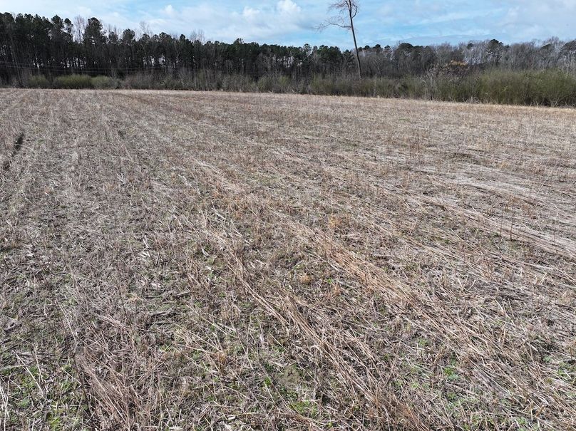 DJI_20240305095456_0035_D