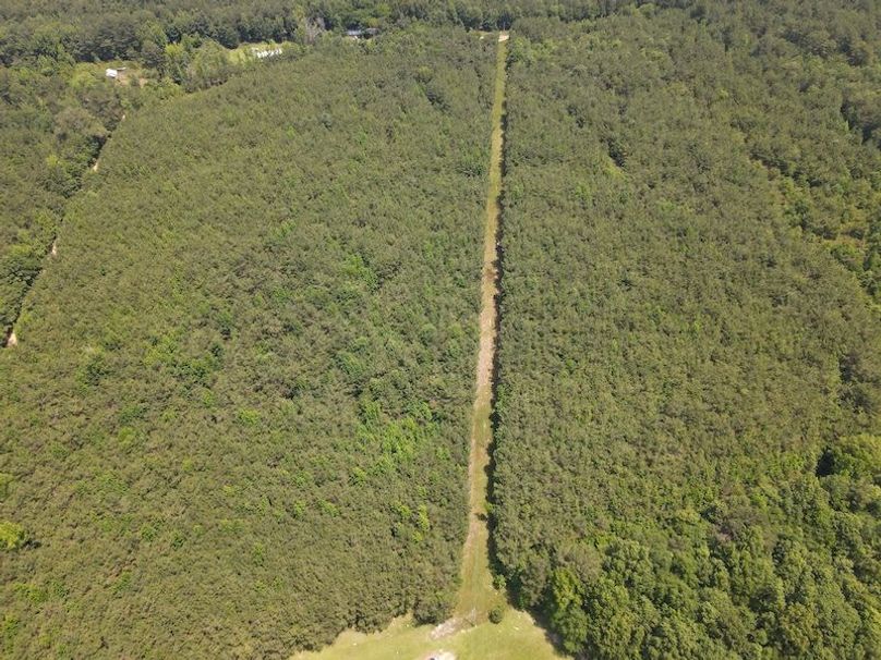 Copy of DJI_0885