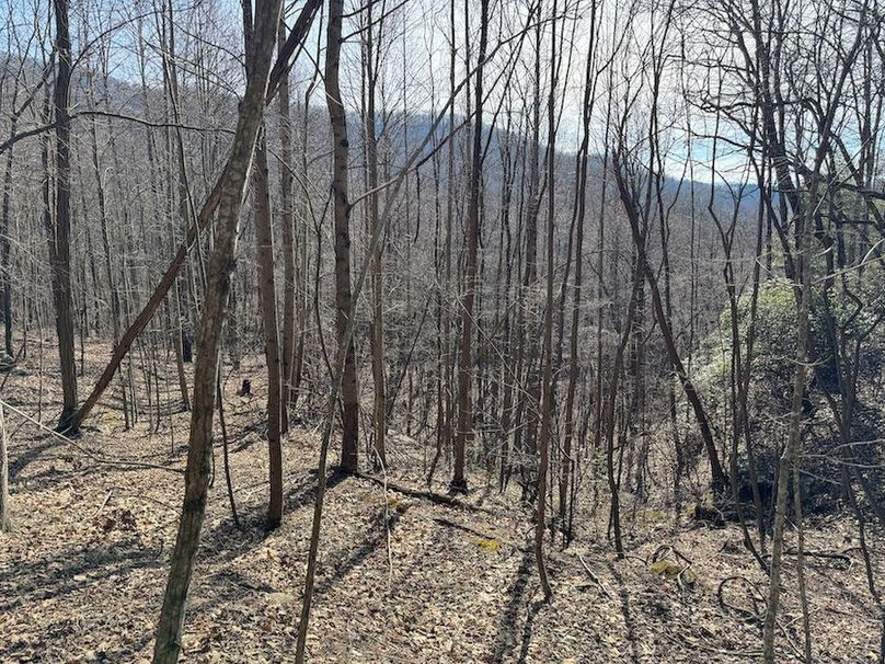 Cherokee 118.85 Harris Top-37