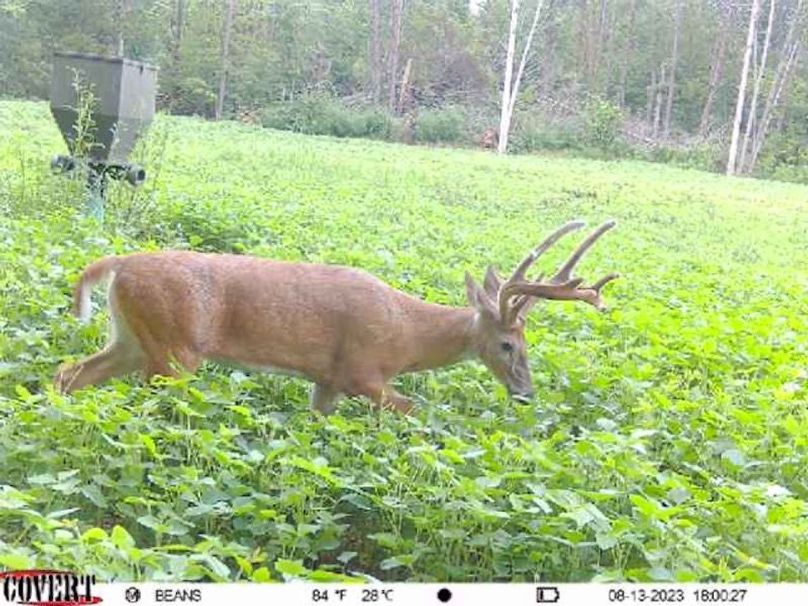 trailcam2