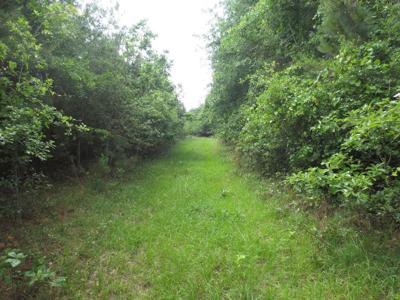 48C01B50-5BF1-439E-A928-D12DCC66A9ED_1_105_c