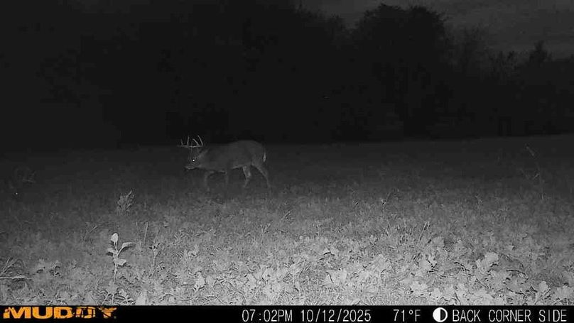 25101219024600000615_ColorizationType.none