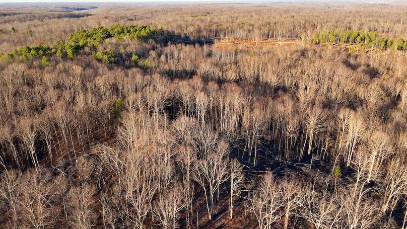 DRONE.00_14_28_19.Still035