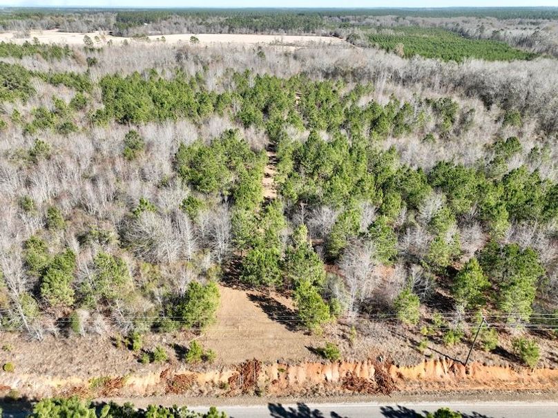 dji_fly_20260213_144646_351_1771012085629_photo