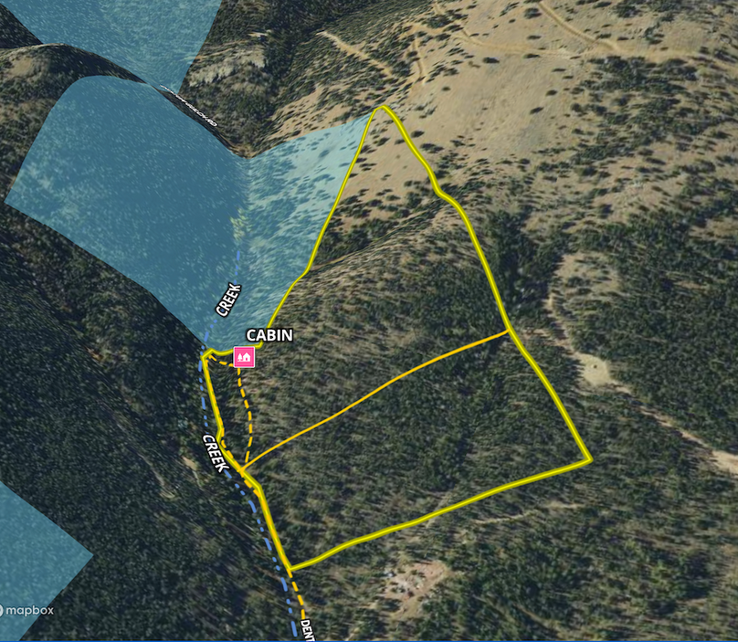 Screen Shot 2024-07-03 at 11.25.24 AM