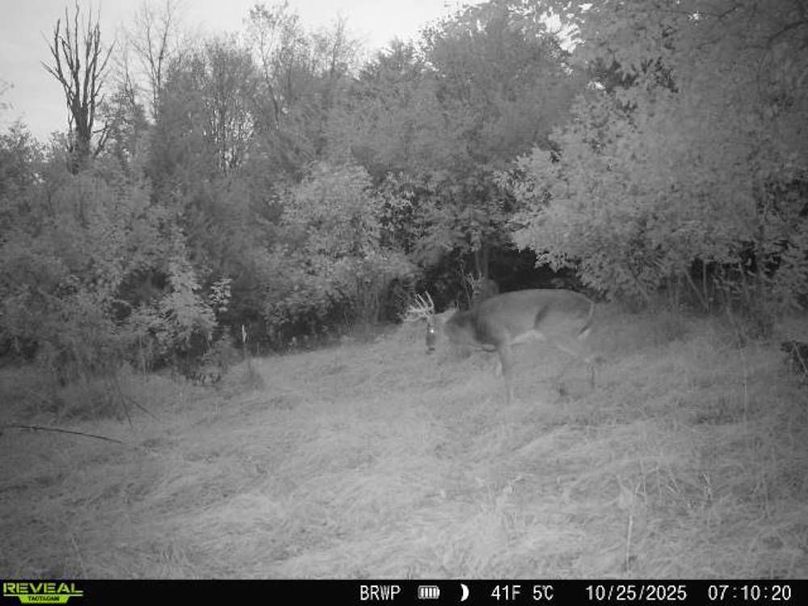 860322065924133-100-4-10252025071020-W1000139