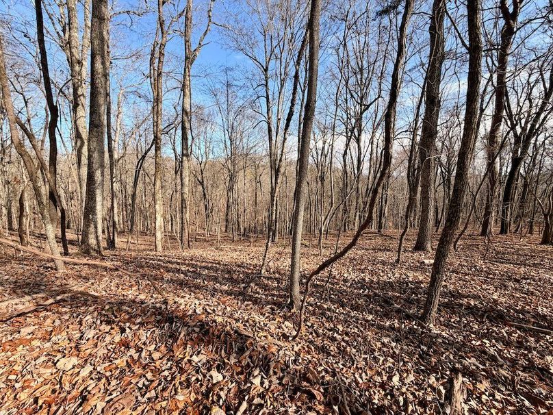 Roane Co TN 396 20251127_78