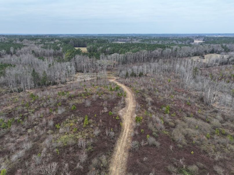 Copy of dji_fly_20251224_112556_0178_1767705809877_photo