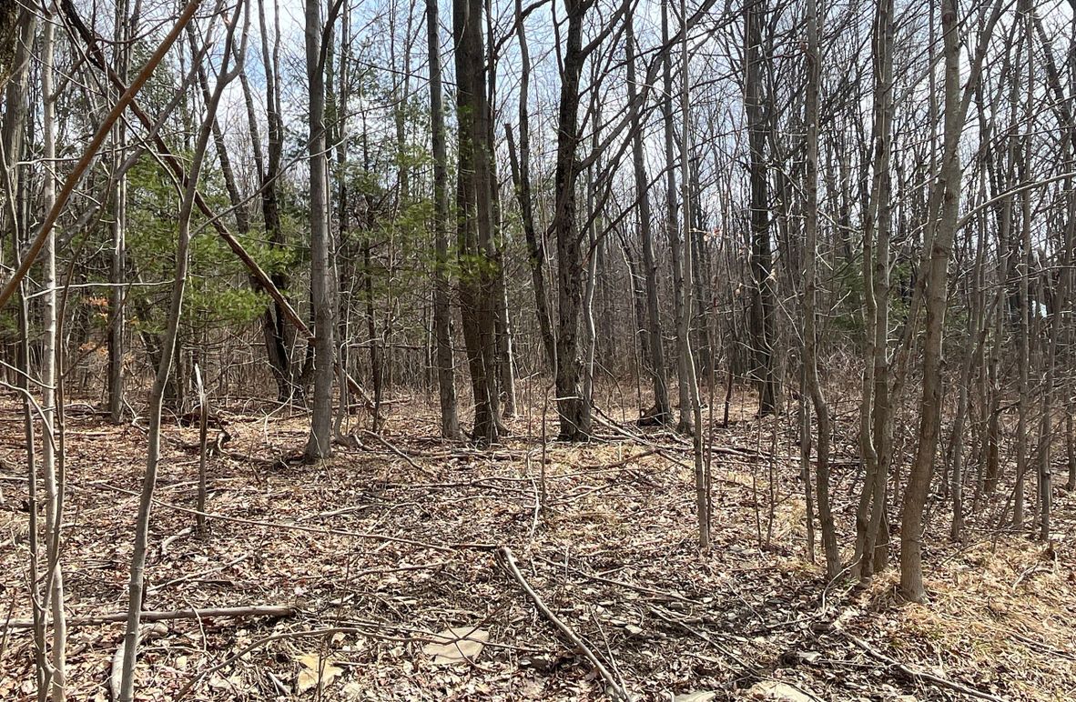 Schuyler_15.44_Bringhurst photo 4