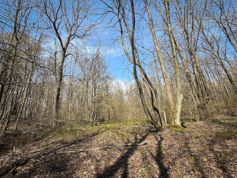 Cayuga_23.5_Demott_photos_8