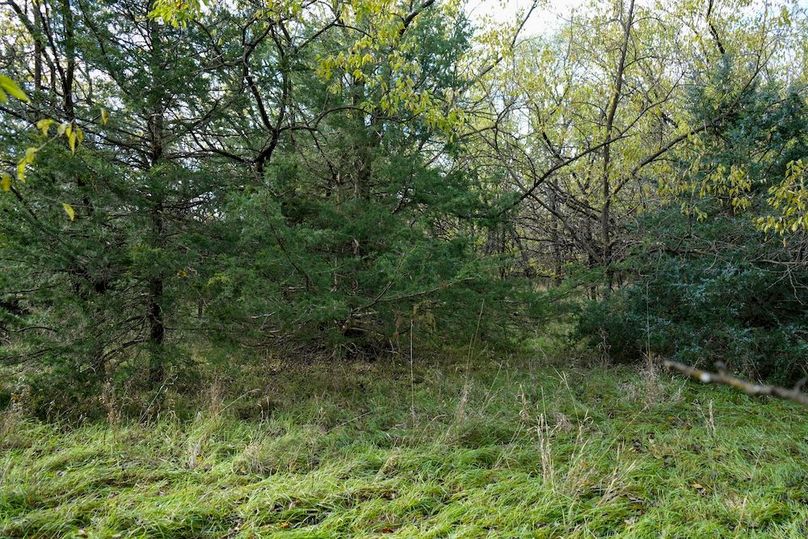 Dickinson Co, 154.5_057