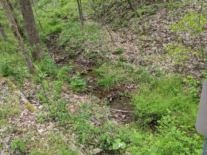 PXL_20230504_214846403