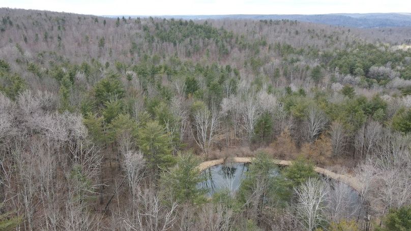 23 dji_fly_20250325_113108_951_1742916689644_photo