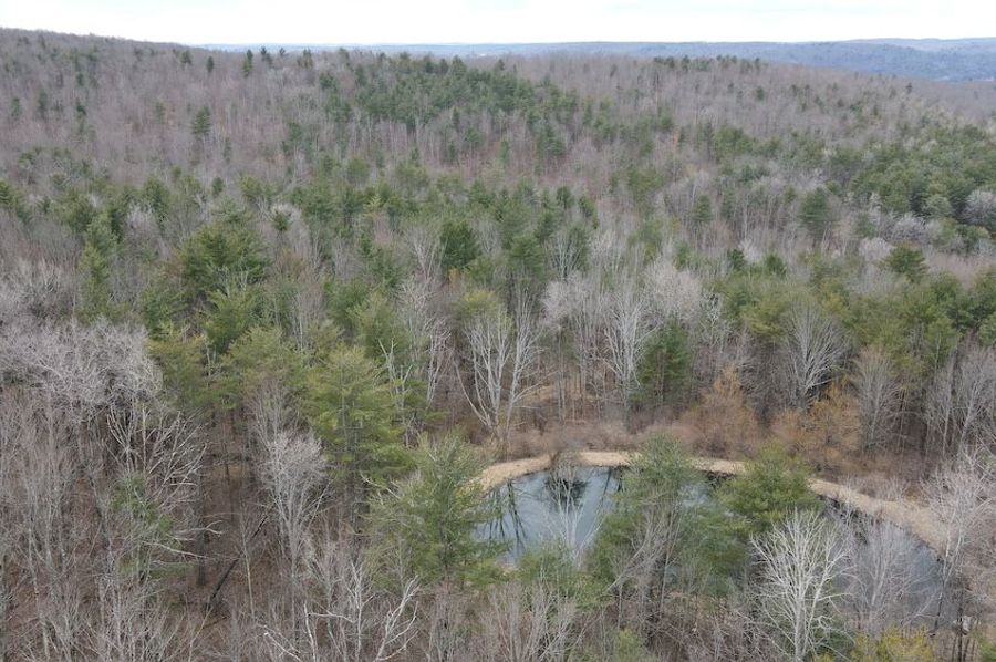23 dji_fly_20250325_113108_951_1742916689644_photo