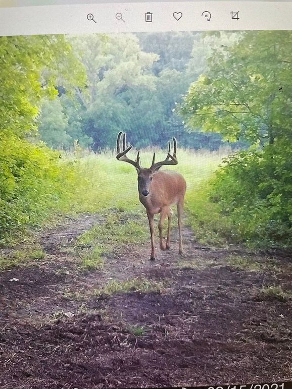 65163605047__5F68FAD7-F2EA-4852-8F14-CB3DCB8F296C