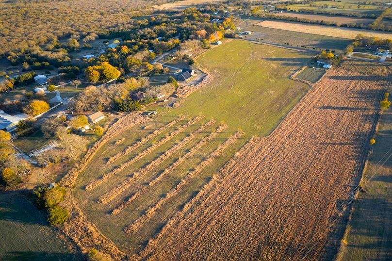 Collin 17 acres (4 of 21)