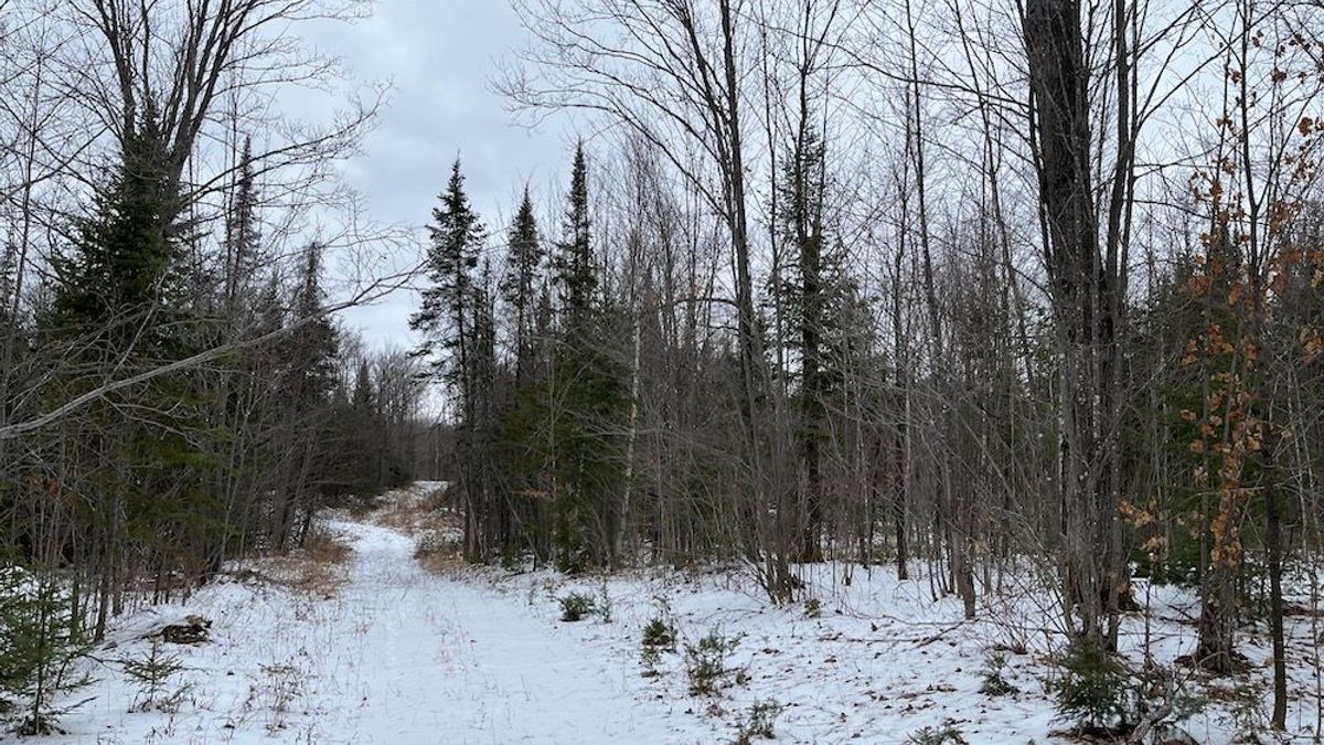 Large Acreage Hunting Land And Pole Barn Near Pine Lake Whitetail