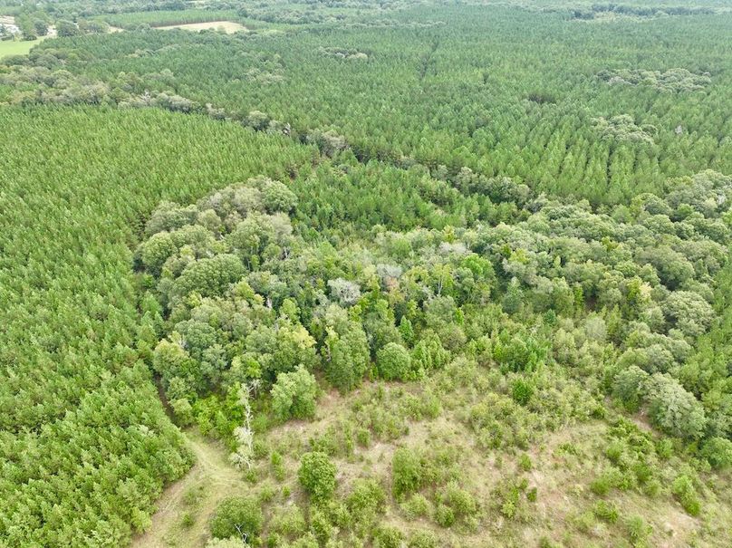 dji_fly_20240911_104348_762_1726066189763_photo