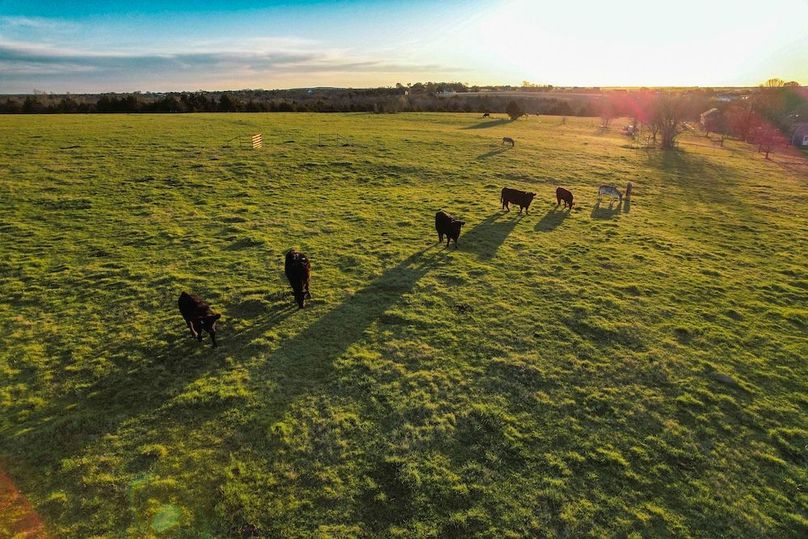 Grayson 20 acres (2 of 26)