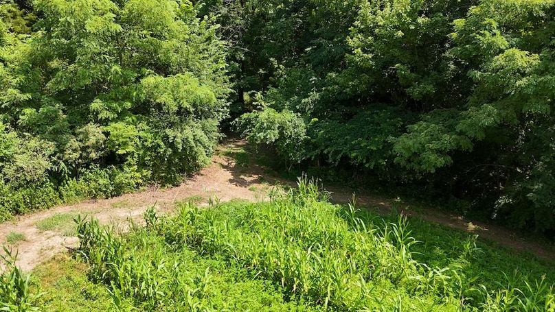 DJI_20250713152650_0574_D