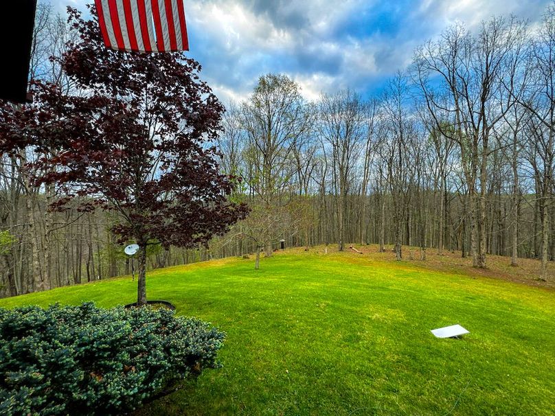 Calhoun, WV 132.84 AC Szegi 2-086