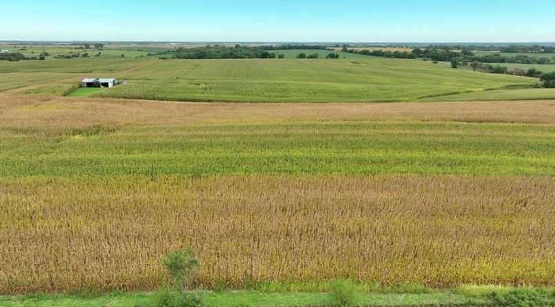 Screenshot 2025-09-05 at 1.55.35 PM