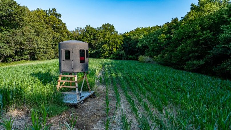 Copy of DJI_20250806051554_0007_D Large