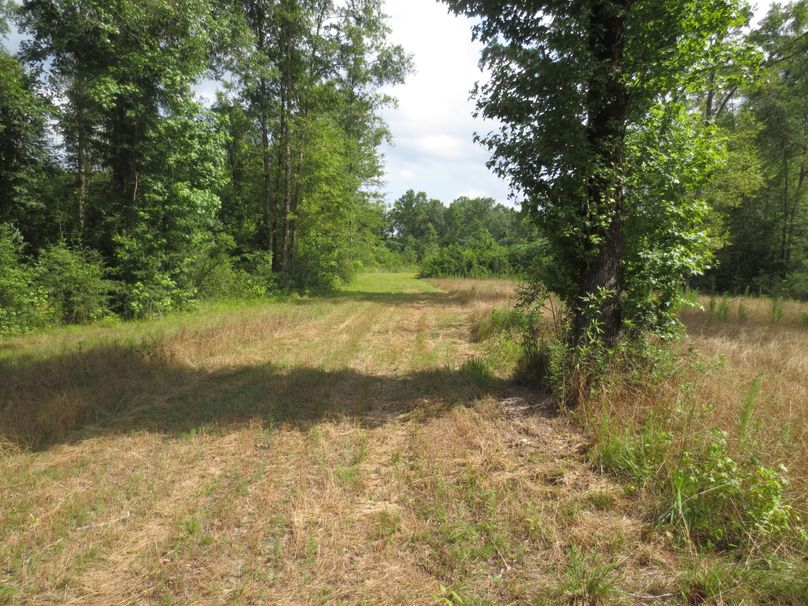 EFC4323A-0900-4345-A682-43524541A71E