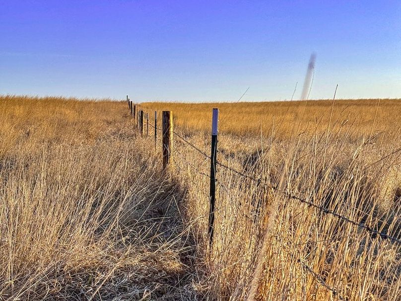 11. fenceline