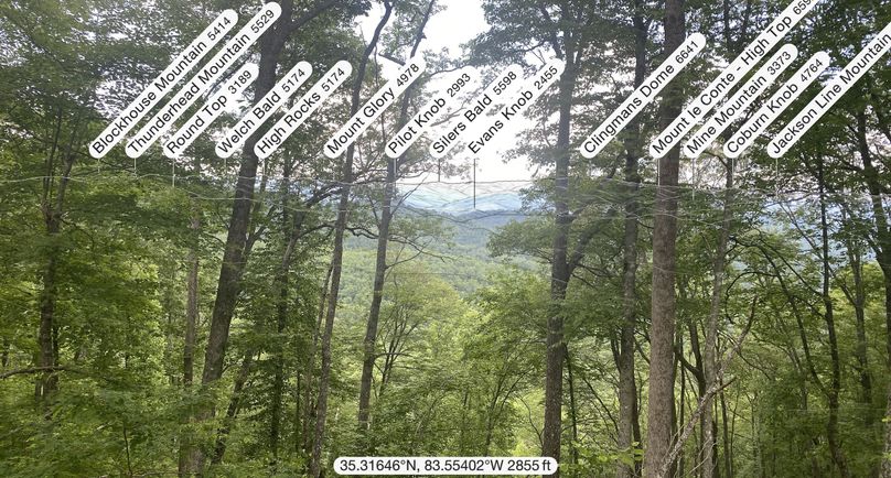 Swain 39 Tysinger-32