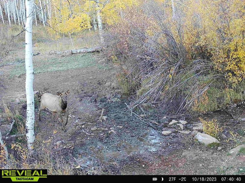 Copy of Copy of a17d4443-c732-46f4-9e09-f84b72b2ce58