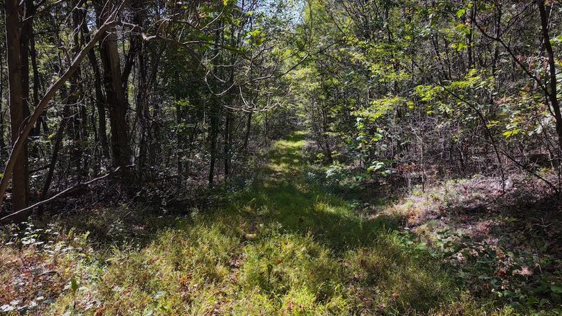 Fayette, 199, Hostetler-03