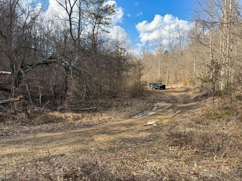 014 another shot of the flat along the creek-2