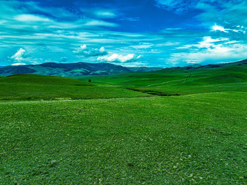 DJI_0149