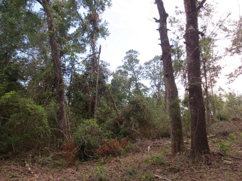 4B3197DD-731B-4559-BF36-A0CE1DEE3AAB_1_105_c