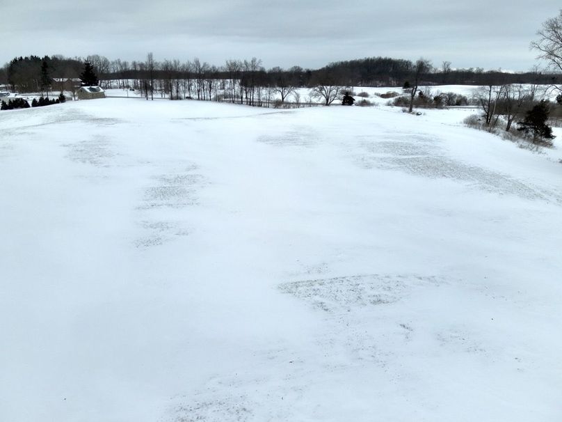 Copy of Tract 6 looking N to M-50 #2 Large