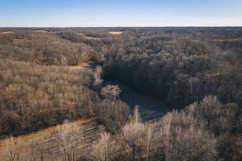 DJI_20260218154249_0618_D