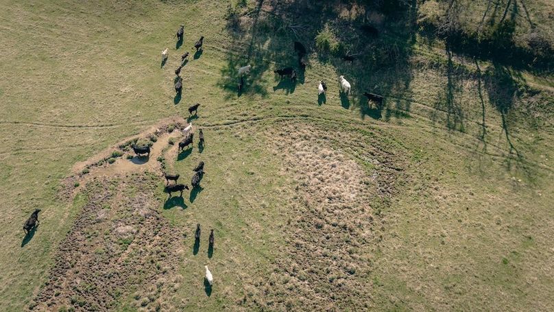 DJI_20260325105532_0048_D