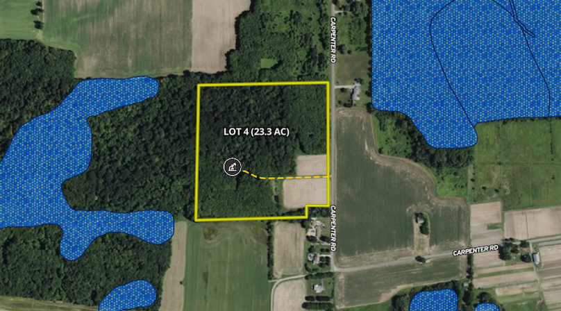 Screenshot 2026-02-12 at 10.56.33 AM