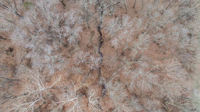 DJI_20260212074652_0014_D