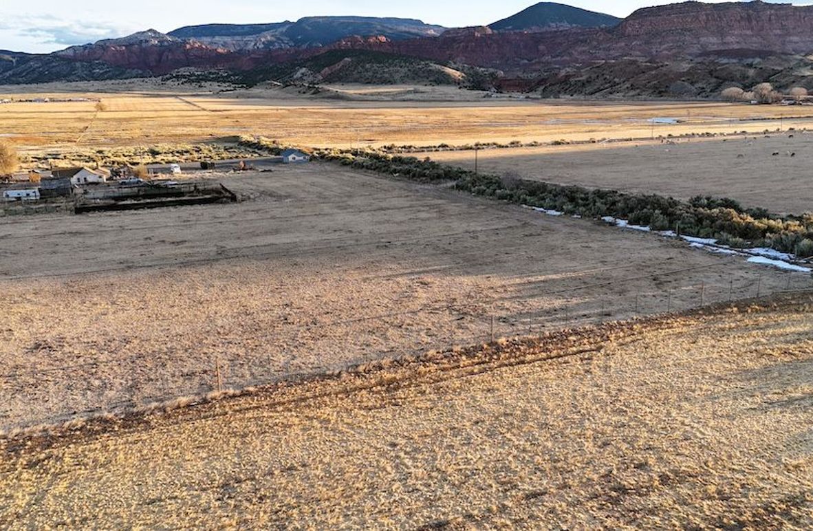 DJI_20250322075347_0175_D