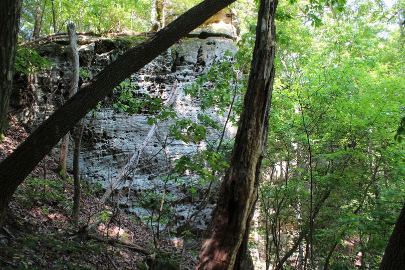 011 the northwest face of the huge rock knob in the west area of the property