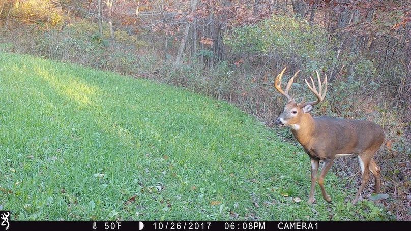 Sauk 174 Trailcam - 71
