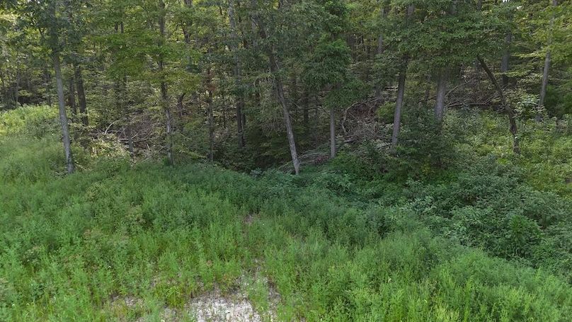 DJI_20250808180058_0766_D