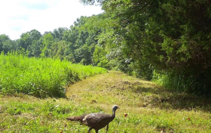 Copy of IMG_3206 Large