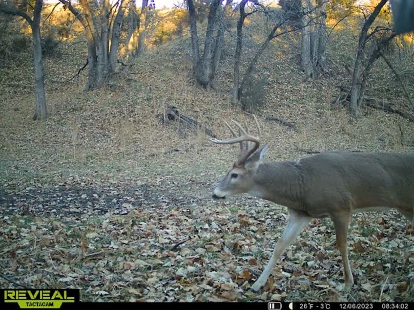 5E1567E7-2688-45DB-BDF5-4D870F7B5F7D