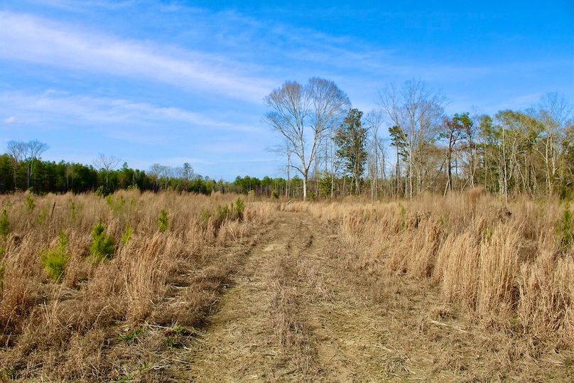 23FE0778-D380-443D-8214-937CAB731FF9_1_201_a