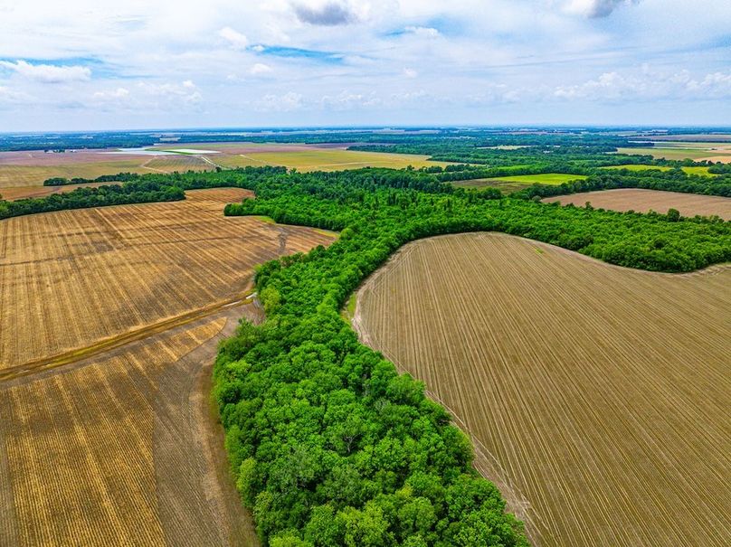 Copy of Noxubee 112.1 +- Tract 1-08