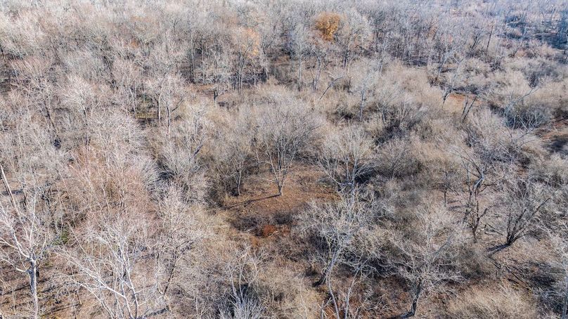 DJI_20241210095055_0011_D